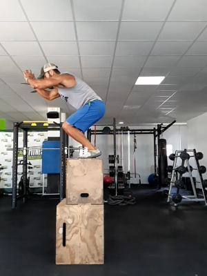 PROGRAMA HEALTHY PARA GRUPOS EN CASAS O FINCAS